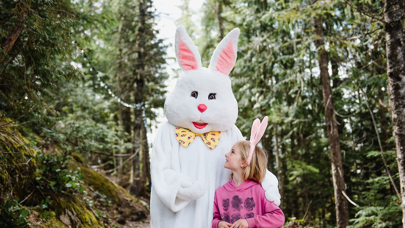 Alice in Wonderland and Bunny