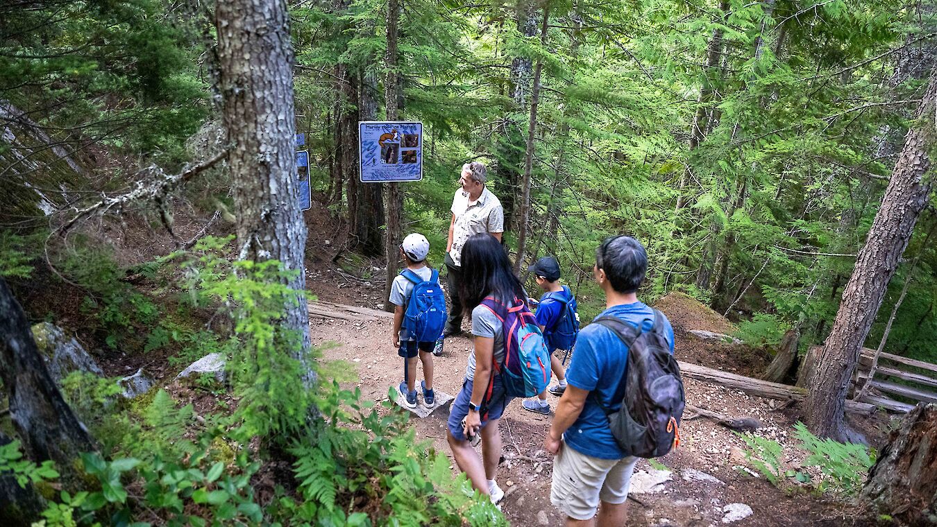 Alpine Alley Trail at the Summit.