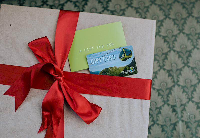 Give the Gift of the Gondola