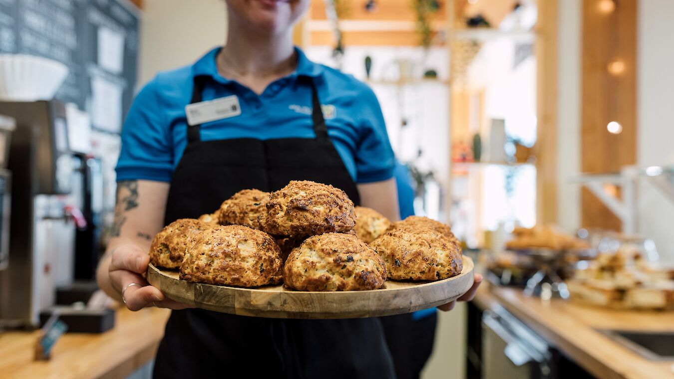 Enjoy tasty treats at Co-Pilot Cafe