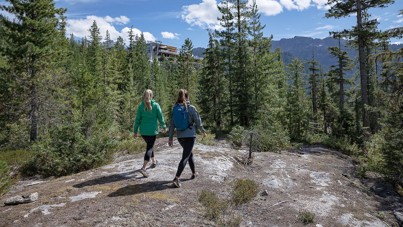 Backcountry Hiking at the Sea to Sky Gondola. The Climb Trail