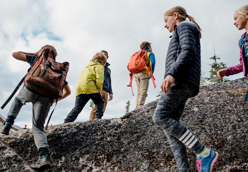 Mountain Sustainability