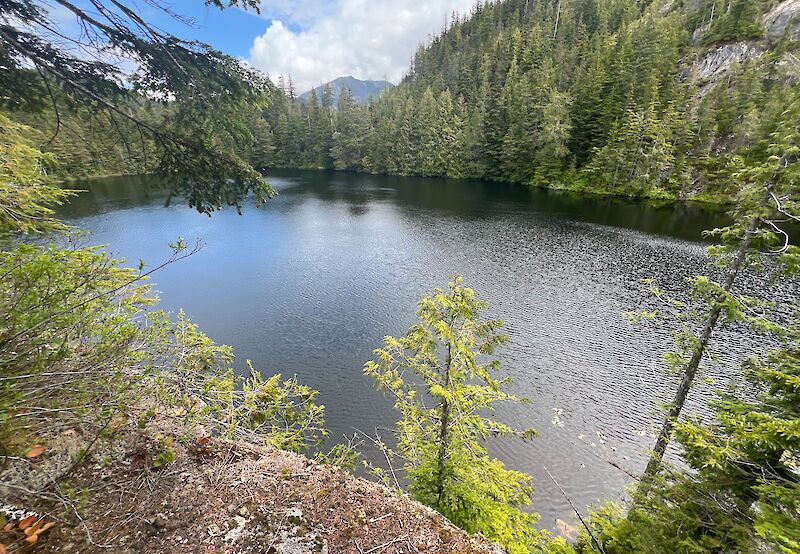 Petgill Lake Trail