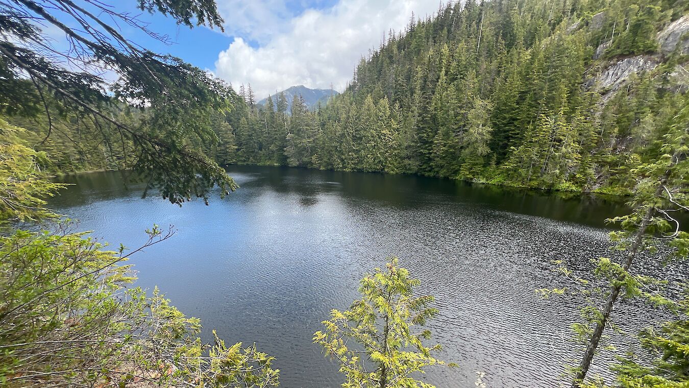 Petgill Lake Trail