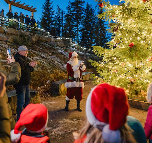 Christmas Tree Lighting