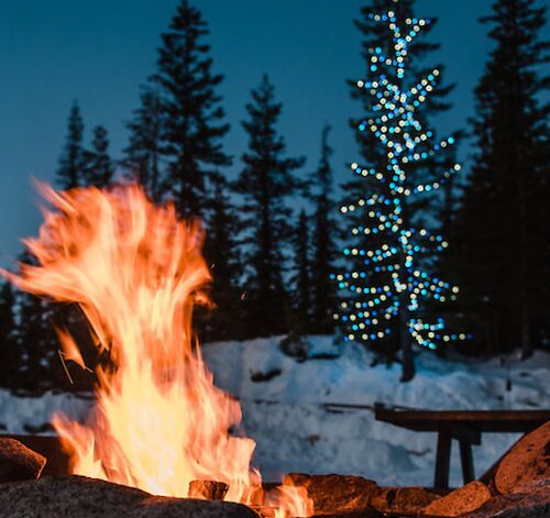 Christmas Tree Lighting