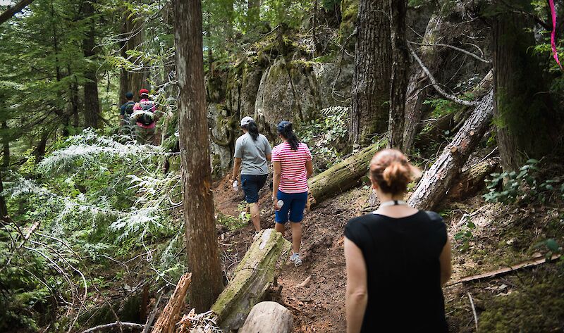 A group of people walking on a trail