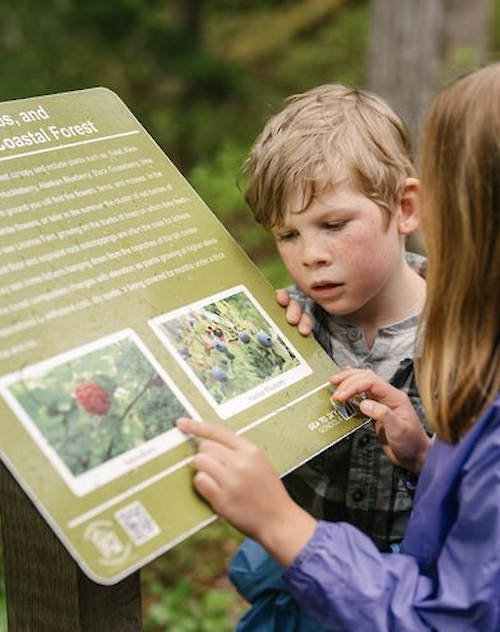 two young children looking at a information sign