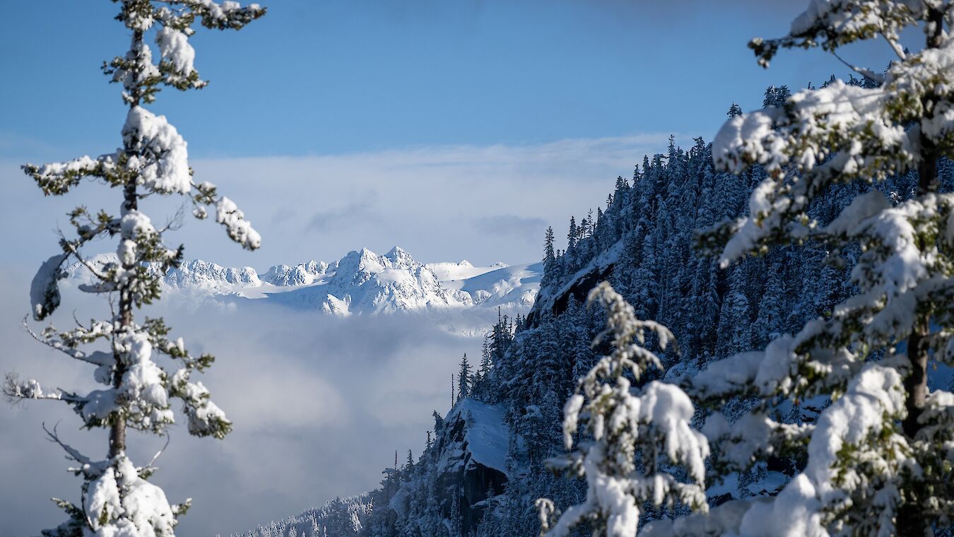 Sea to Sky Gondola Private Functions