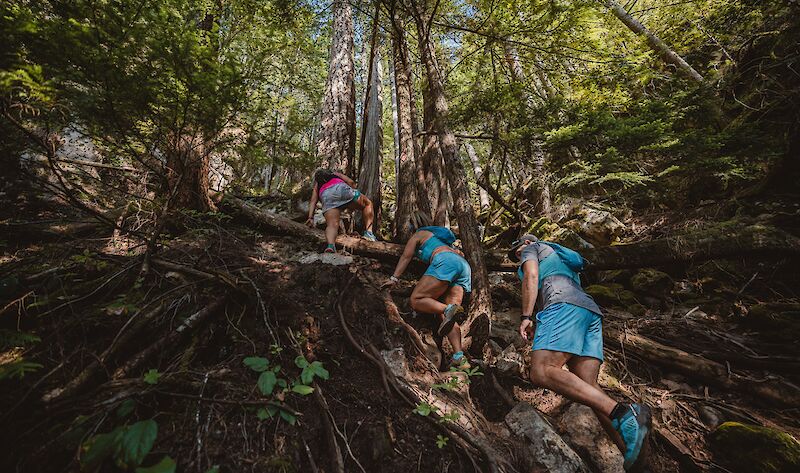 The Climb is a challenging hike and involves a steep and direct climb to the Sea to Sky Gondola Summit