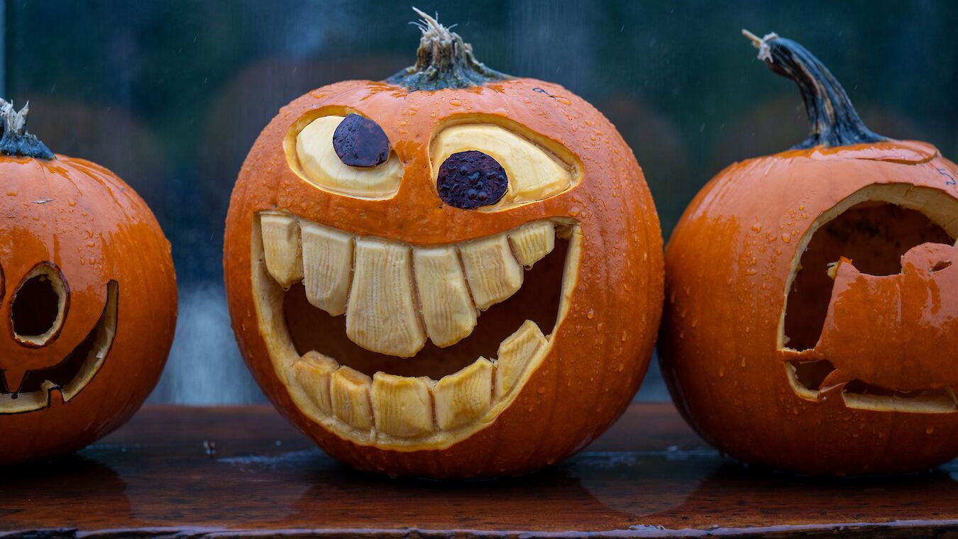 three pumpkins sitting on a bench