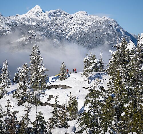 Expert Guidance and Collaboration with Zenith Mountain Guides