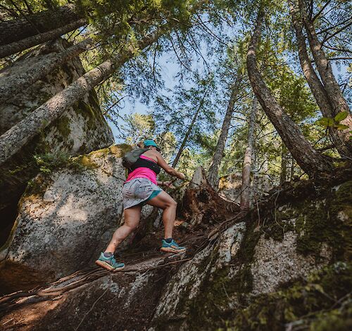 Thinking about hiking this spring?