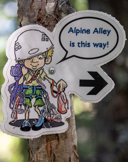 a sticker on a tree saying "Alpine Alley is this way"