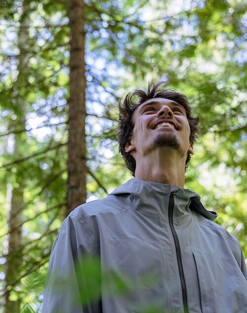 a man on the trail surrounded by trees looking up