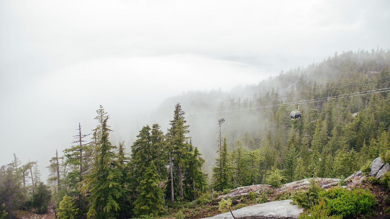 Gondolas in the distance with trees and clouds surrounding