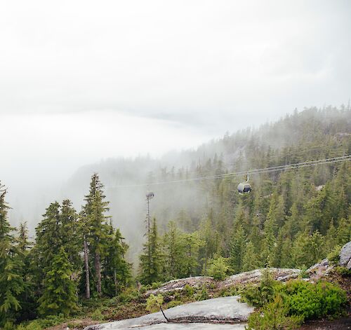 Looking for a Rainy Day Itinerary?