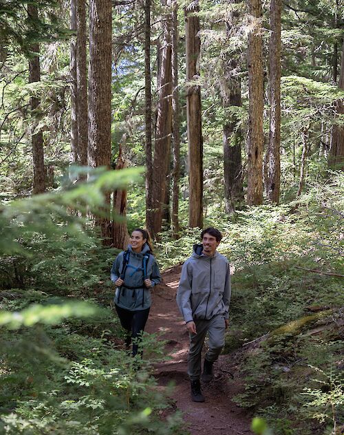 two people walking through a forest