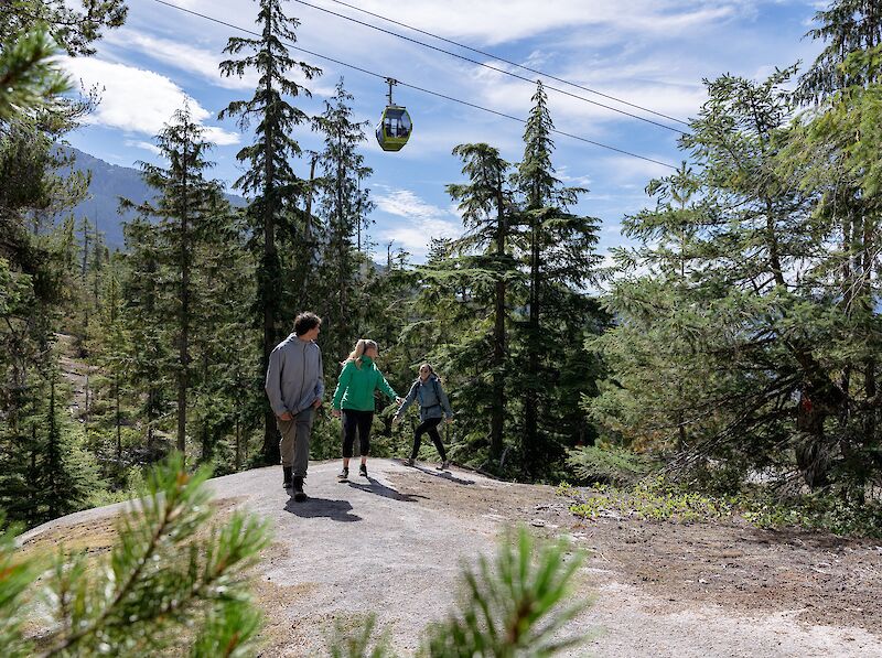 Rise + Climb On Your TIme Stay active this Fall with the flexibility to hike on your own schedule, get outside, move and enjoy more time on the trails.