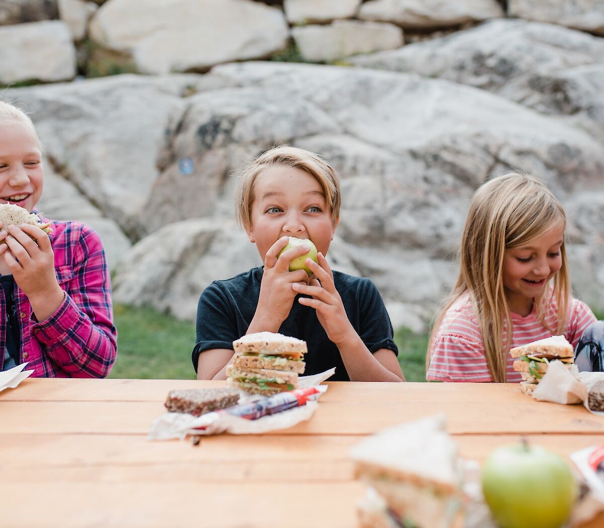 kids having a picnic at a bench