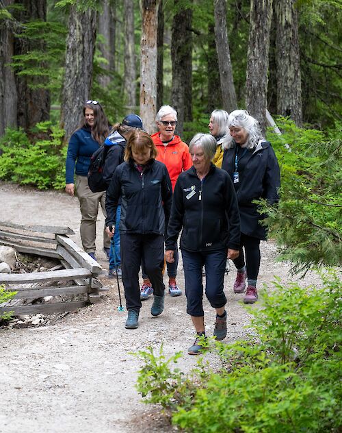 the trails & tea group