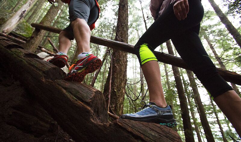 two hikers legs walking up a log