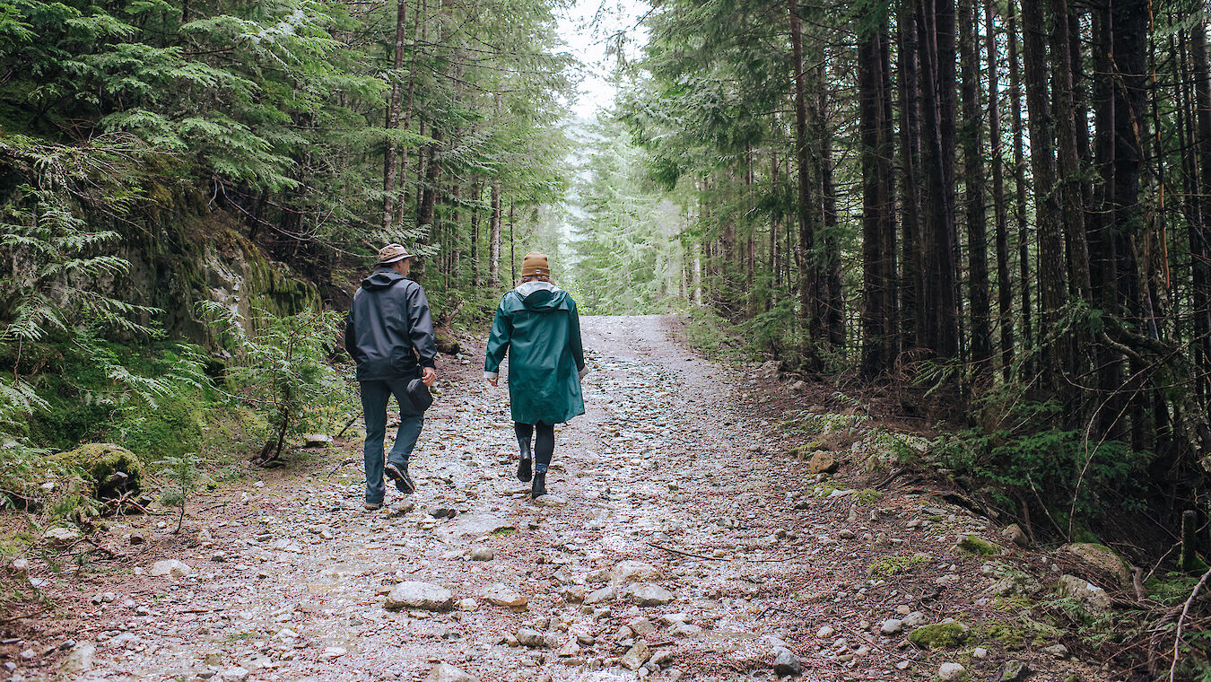 two people walking through a forest on a misty day