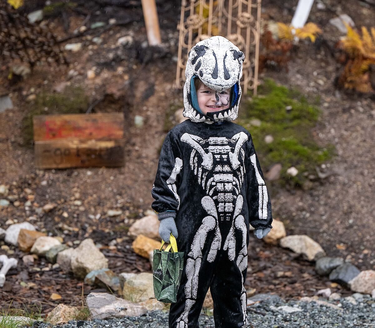 a boy dressed up as a dinosaur costume for halloween
