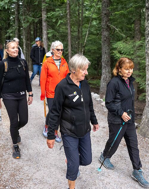 a group of women walking on a trail