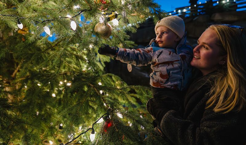 a women with a young child looking at the outdoor Christmas tree