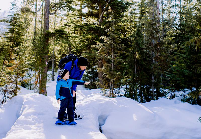 Winter Activities