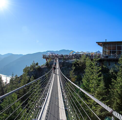 Suspension Bridge