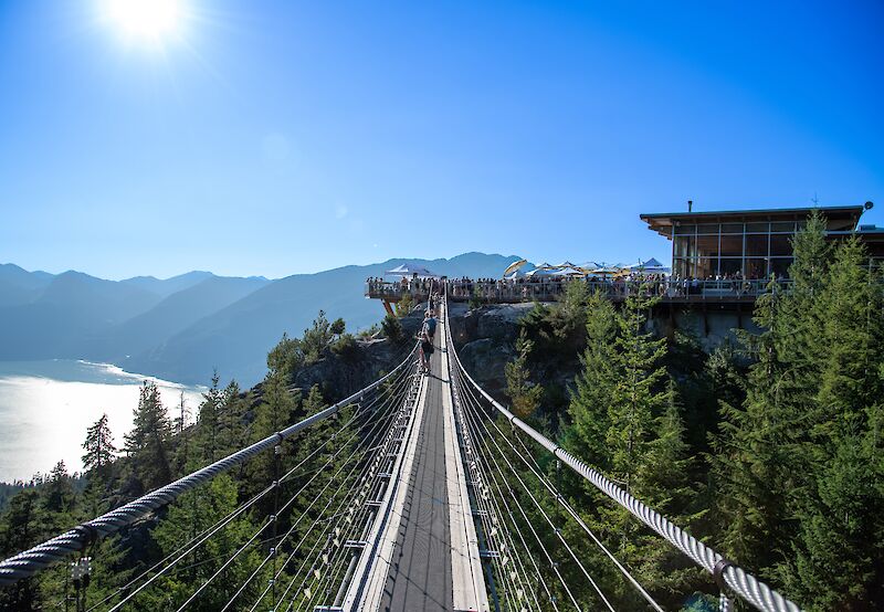 Suspension Bridge