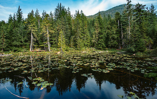 Wonderland Lake Loop