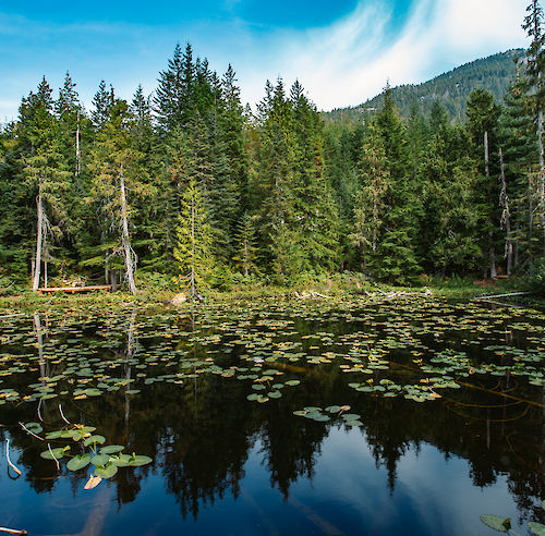 Wonderland Lake Loop