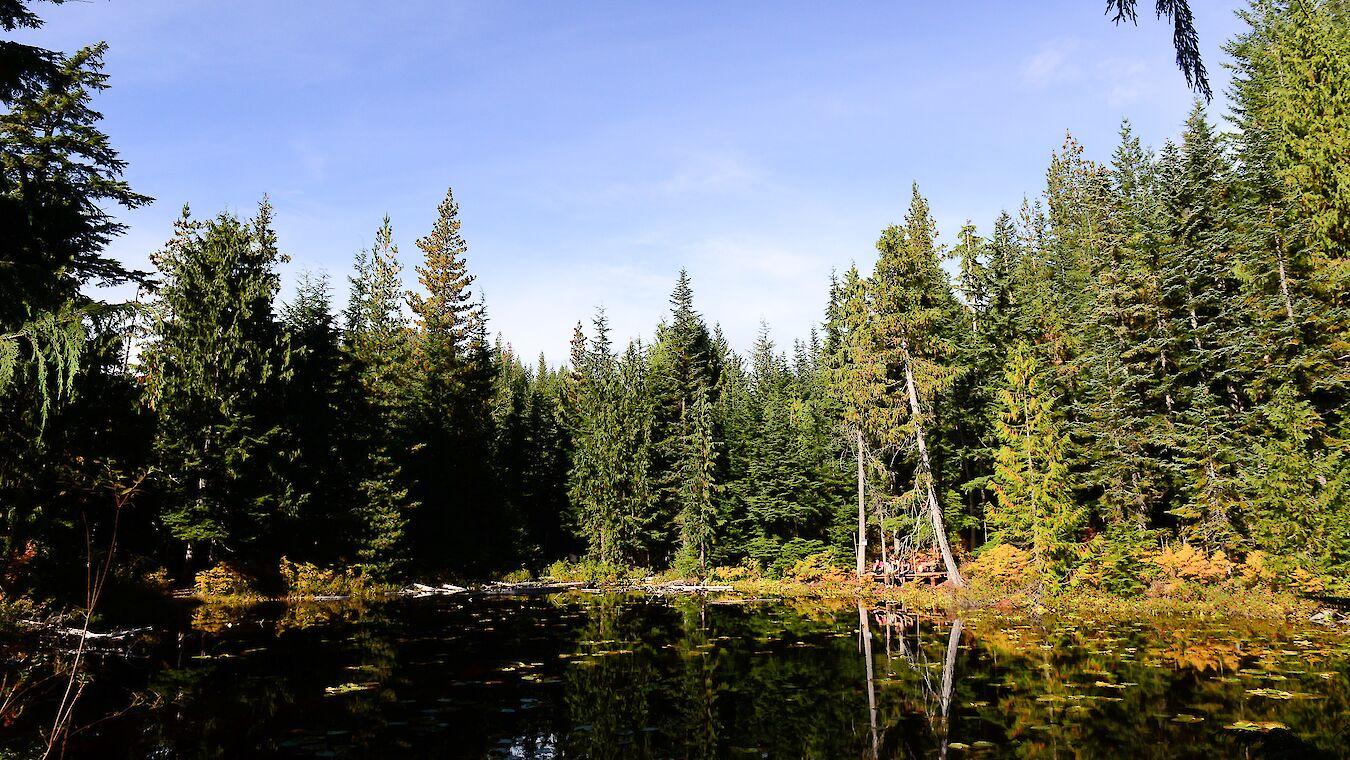 Wonderland Lake Loop walking trail