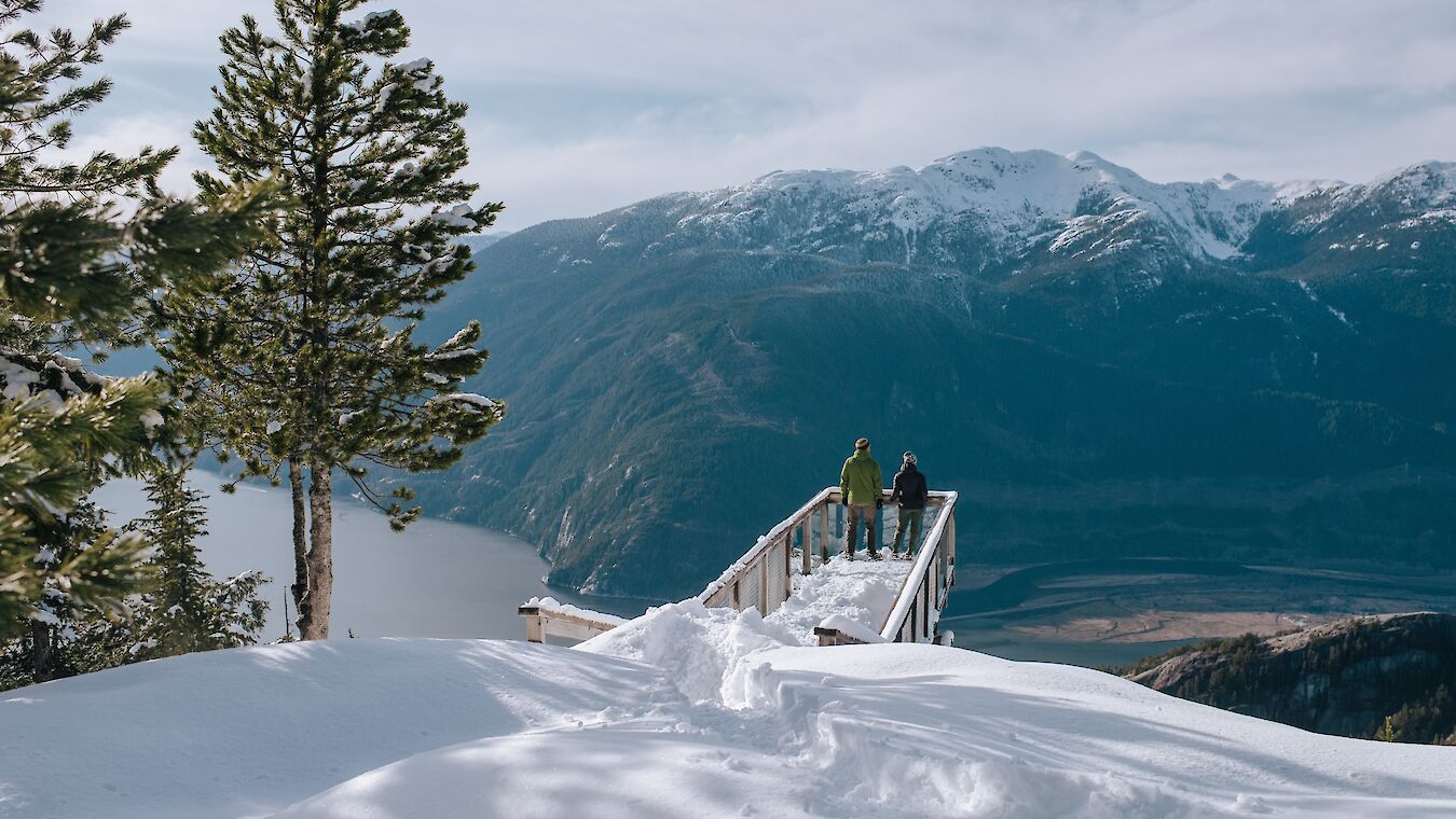 Walking Trails at the Summit of Sea to Sky Gondola