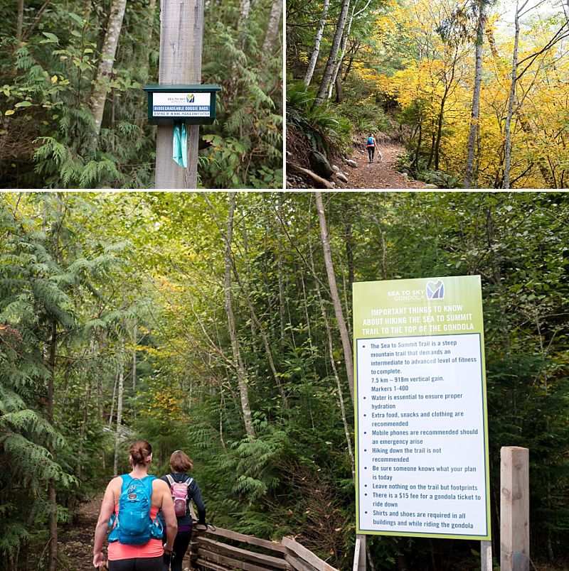 Hiking Sea to Summit Squamish with Dog