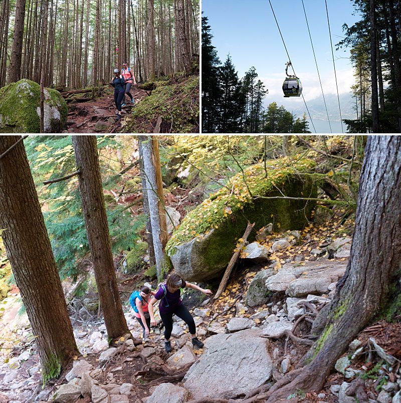Hiking Sea to Summit with Dogs