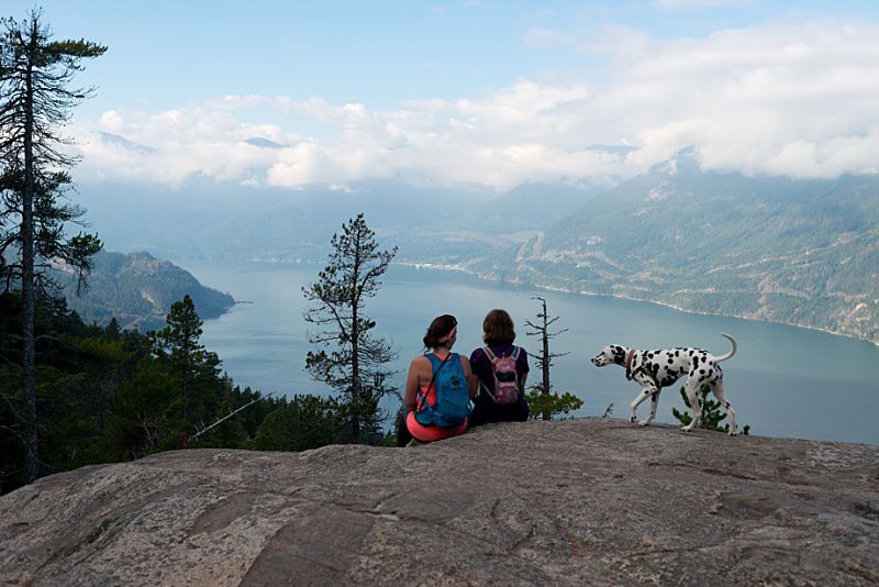 Hiking with dogs