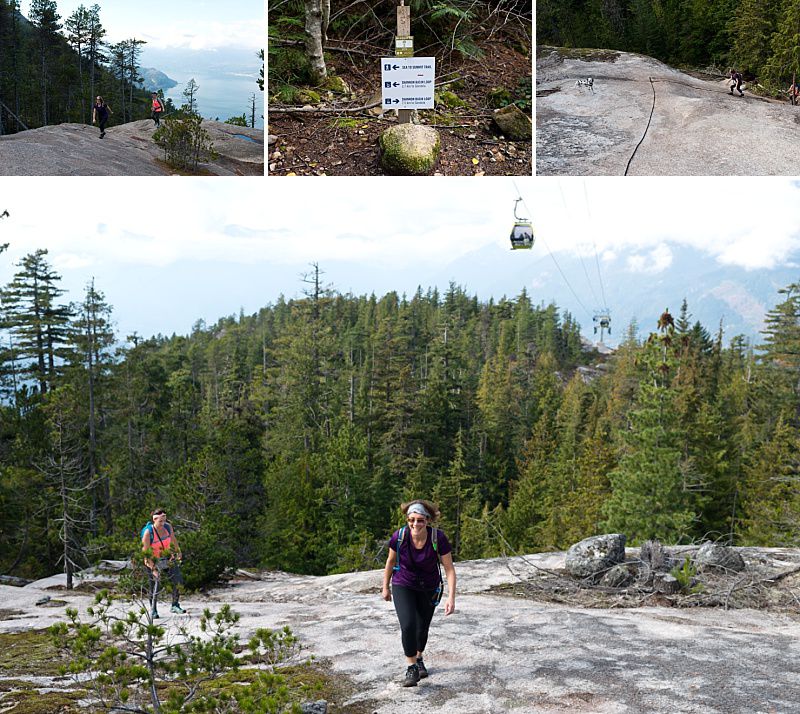Hiking with Dogs Sea to Summit