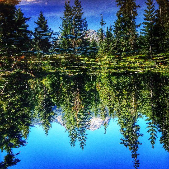 things to do for family day 2015 in vancouver squamish whistler