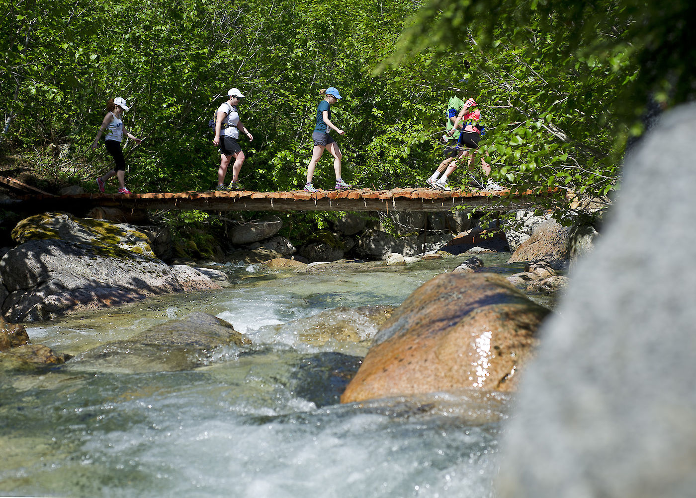 Shannon Basin Loop race - David McColm