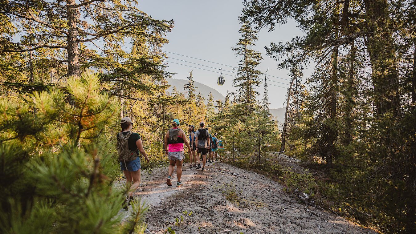 Sea to Sky Gondola Hiking