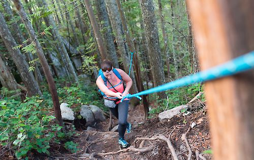 Sea To Summit Trail