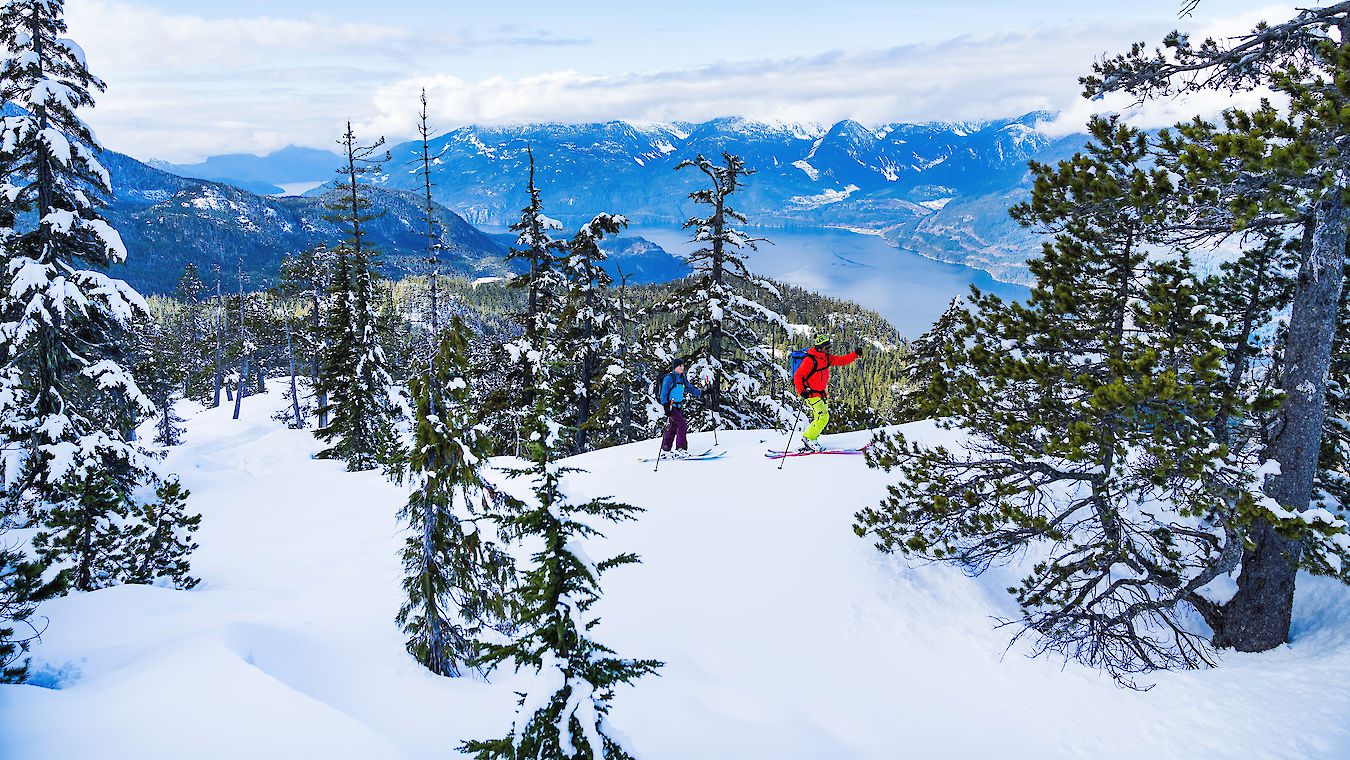 Backcountry Sea to Sky Gondola