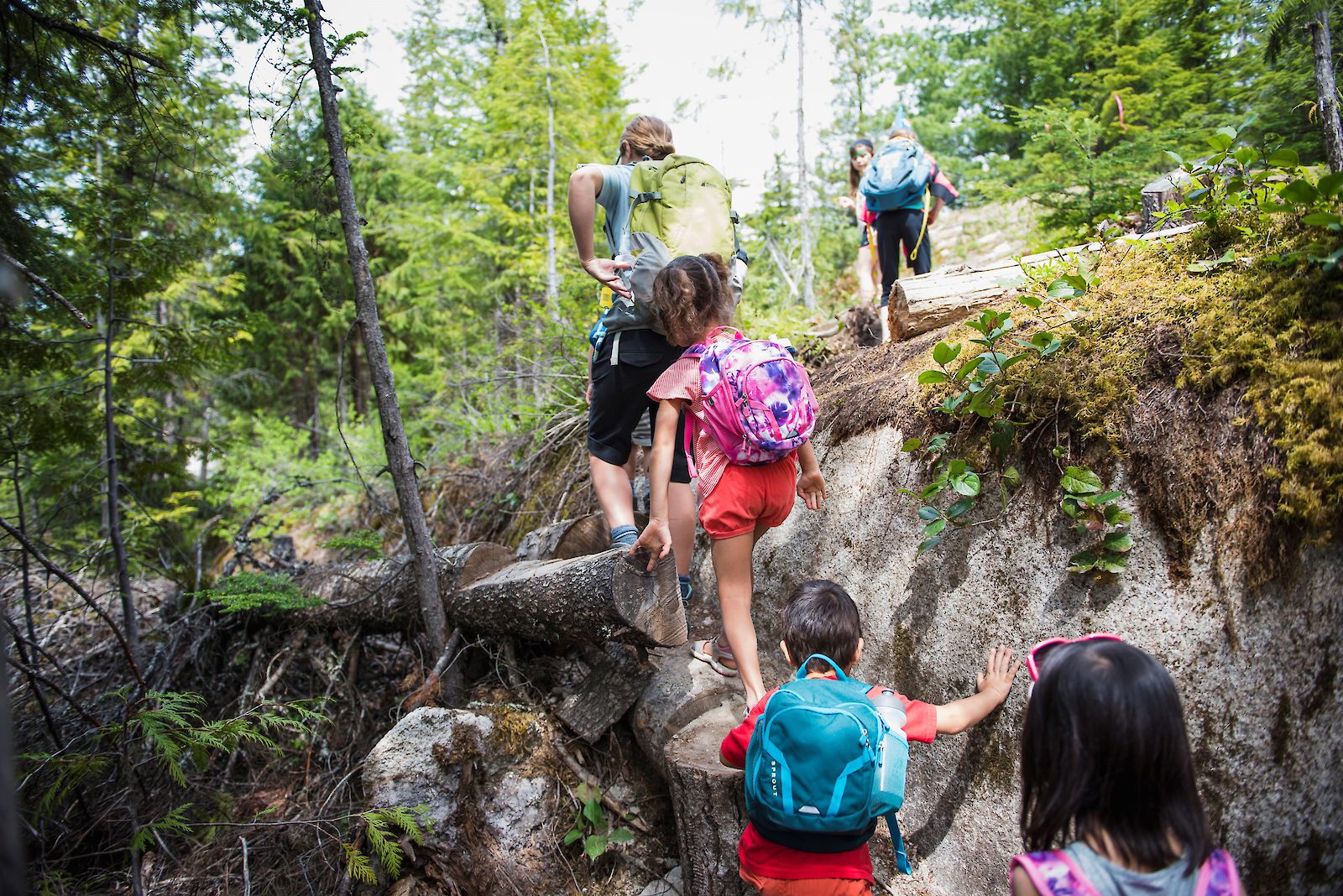 Sea to Sky Gondola Alpine Alley Family Adventure Trail