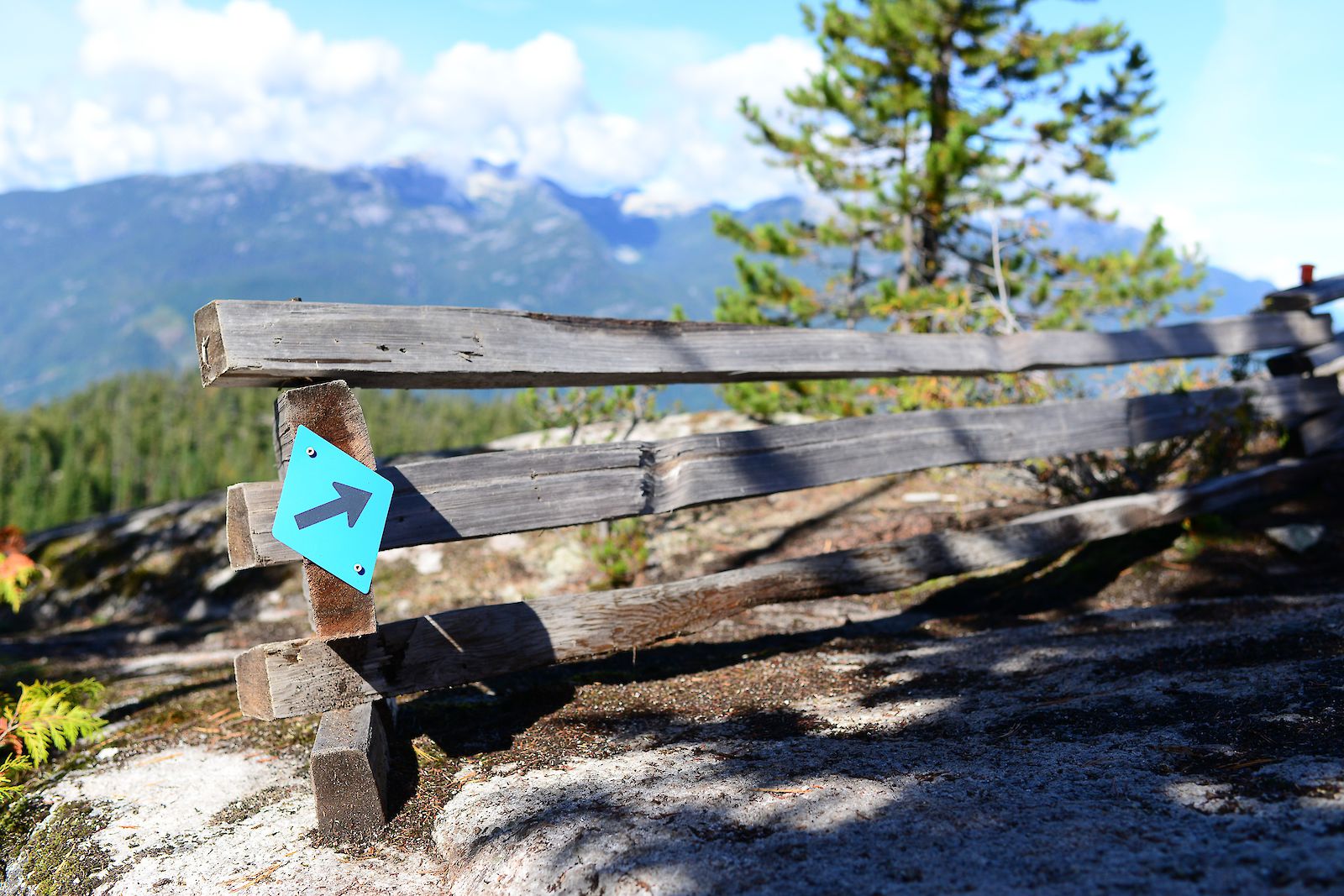 Sea to Sky Gondola Highline Trail