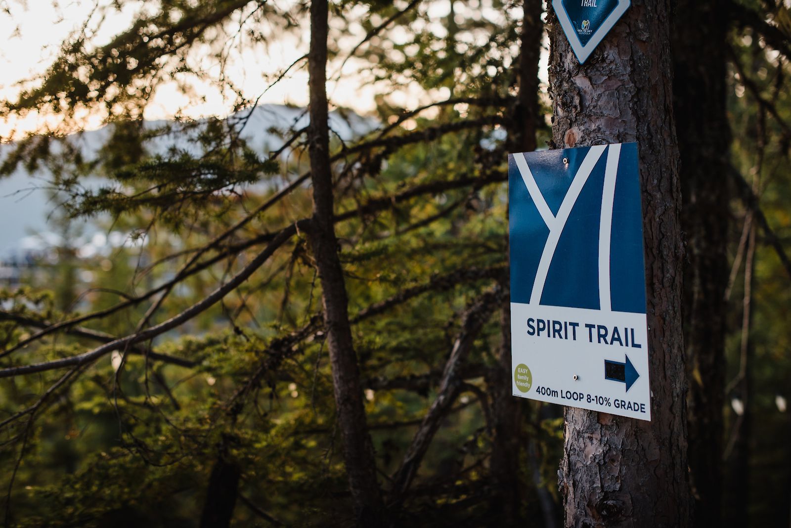 Sea to Sky Gondola Spirit Trail