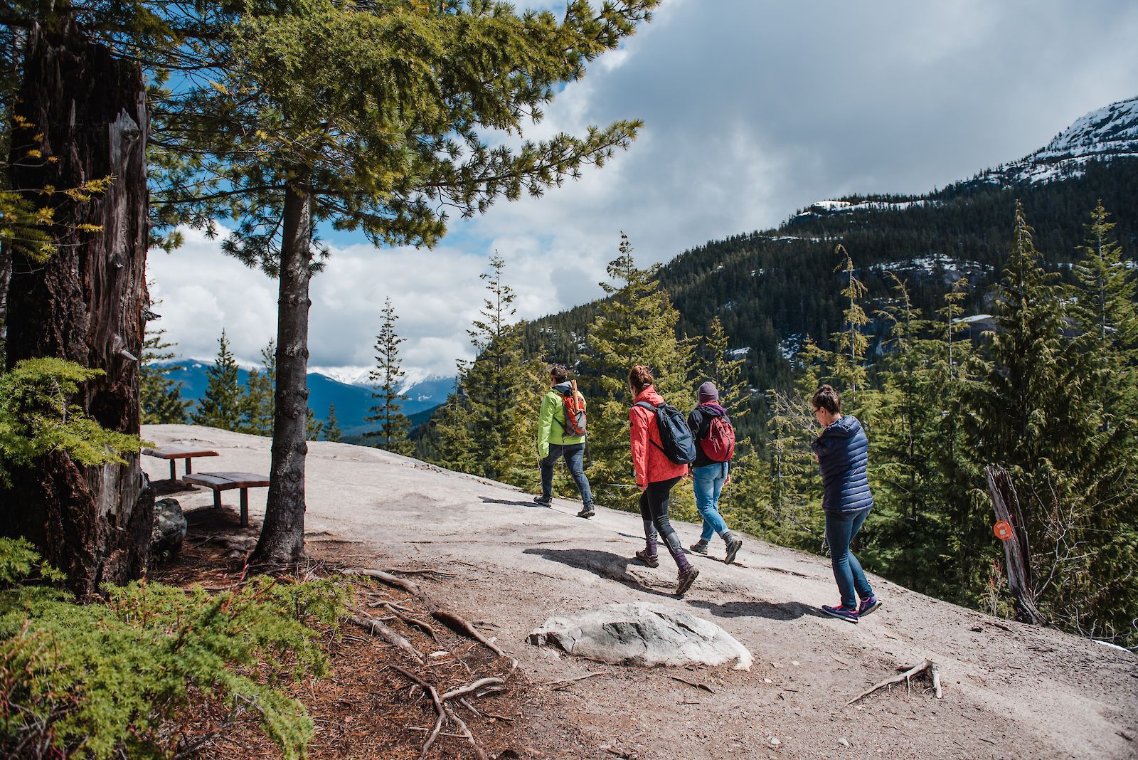 Sea to Sky Gondola Panorama Trail